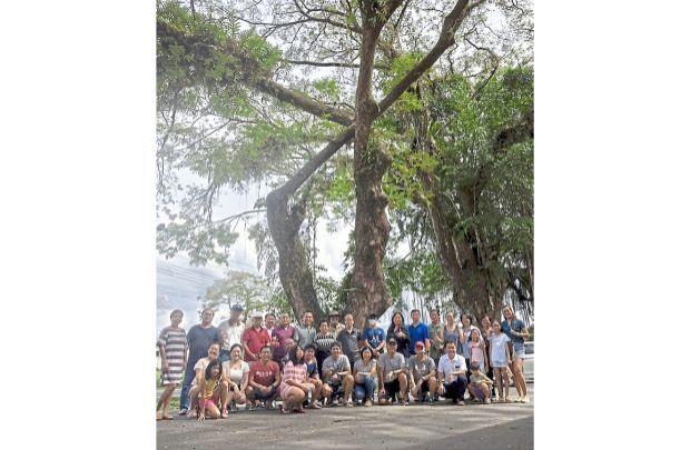 Protests contre l'abattage d'un vieil arbre à Kota Kinabalu