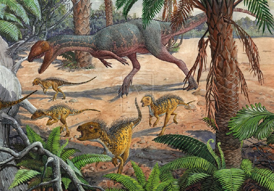 Discover First Dinosaur Era Turtle in Africa