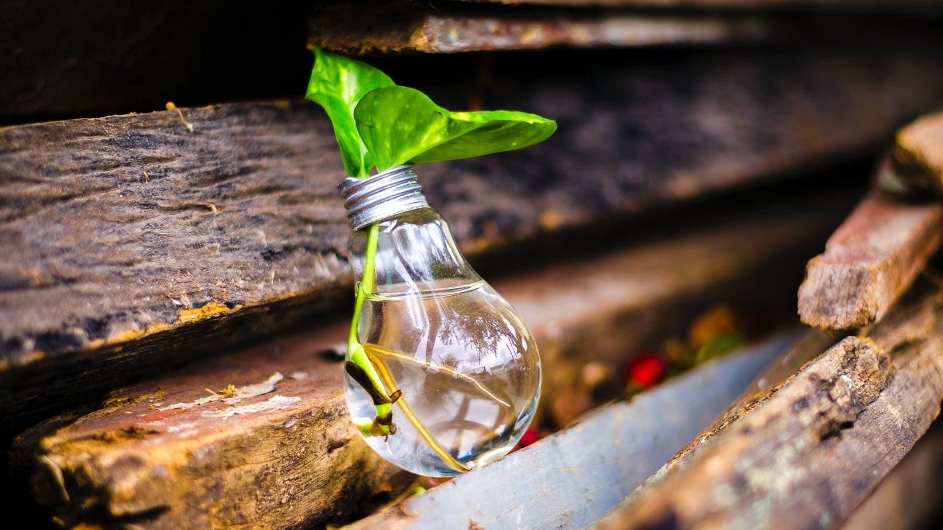 Kreislaufwirtschaft und nachhaltige Energie im Fokus