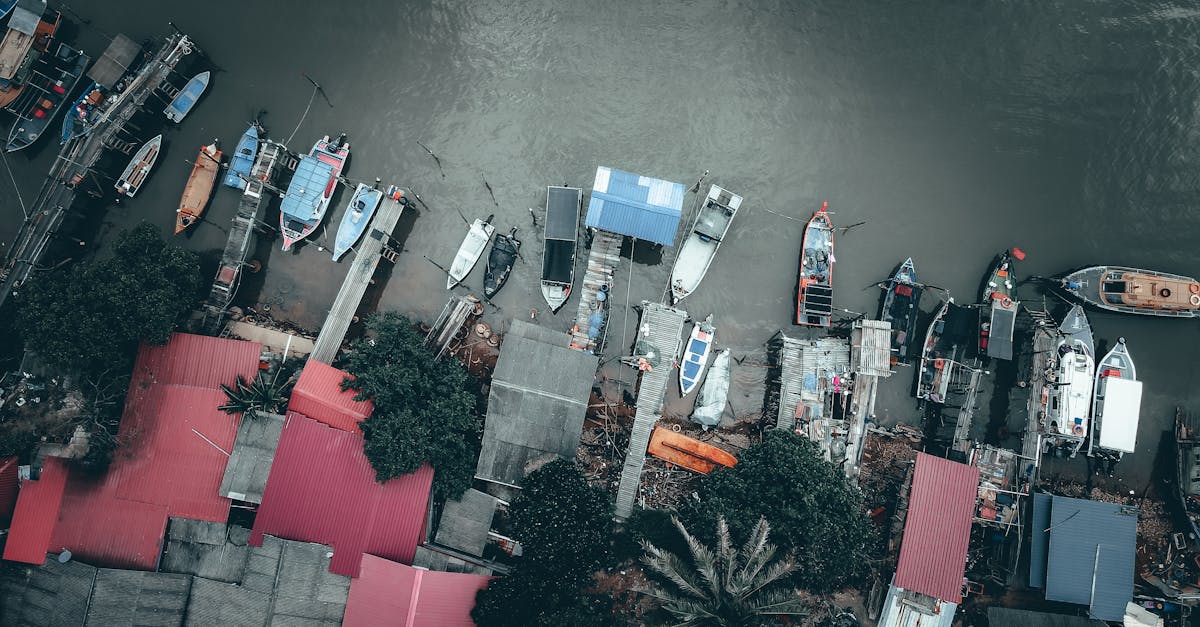 مهرجان قينتونغ 2026 في كينغهو الإندونيسية