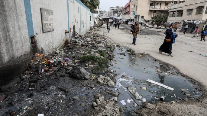 تهديد القوارض والبعوض لحياة نازحي غزة