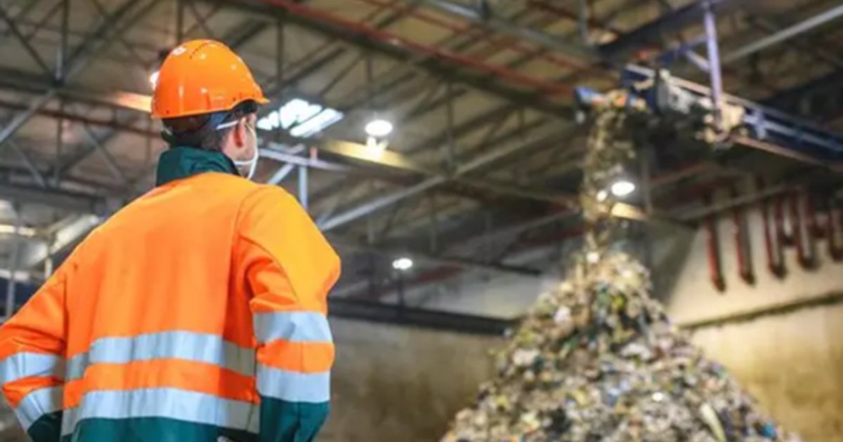 吉萨清理垃圾以改善公共环境