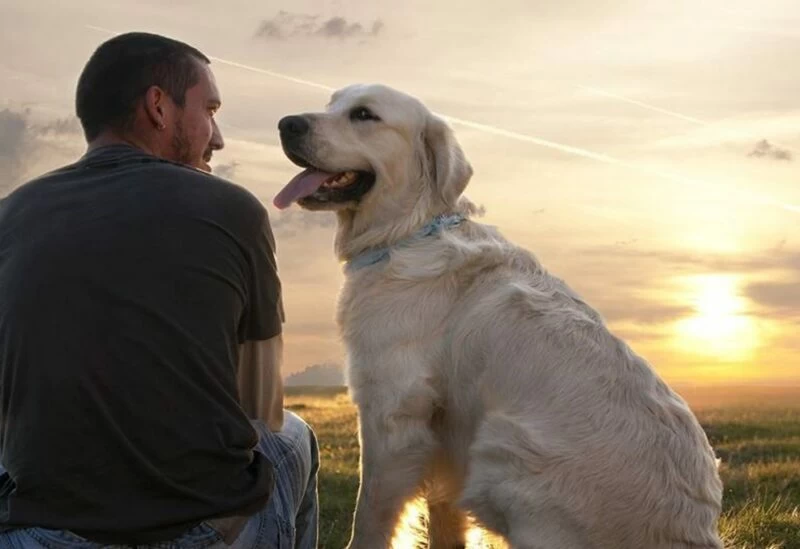 دراسة جديدة تعيد تشكيل فهمنا لعلاقة الإنسان بالكلب