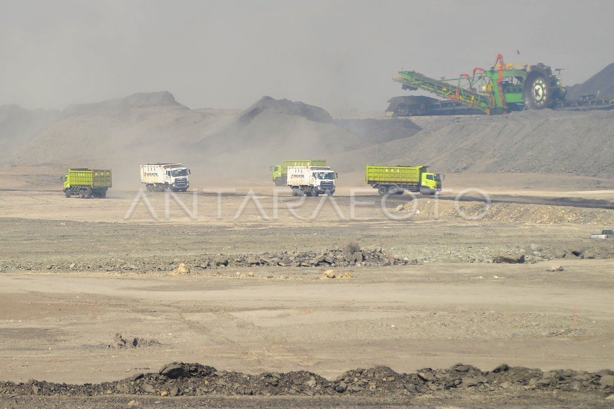 PT Bukit Asam Gewinne 2025