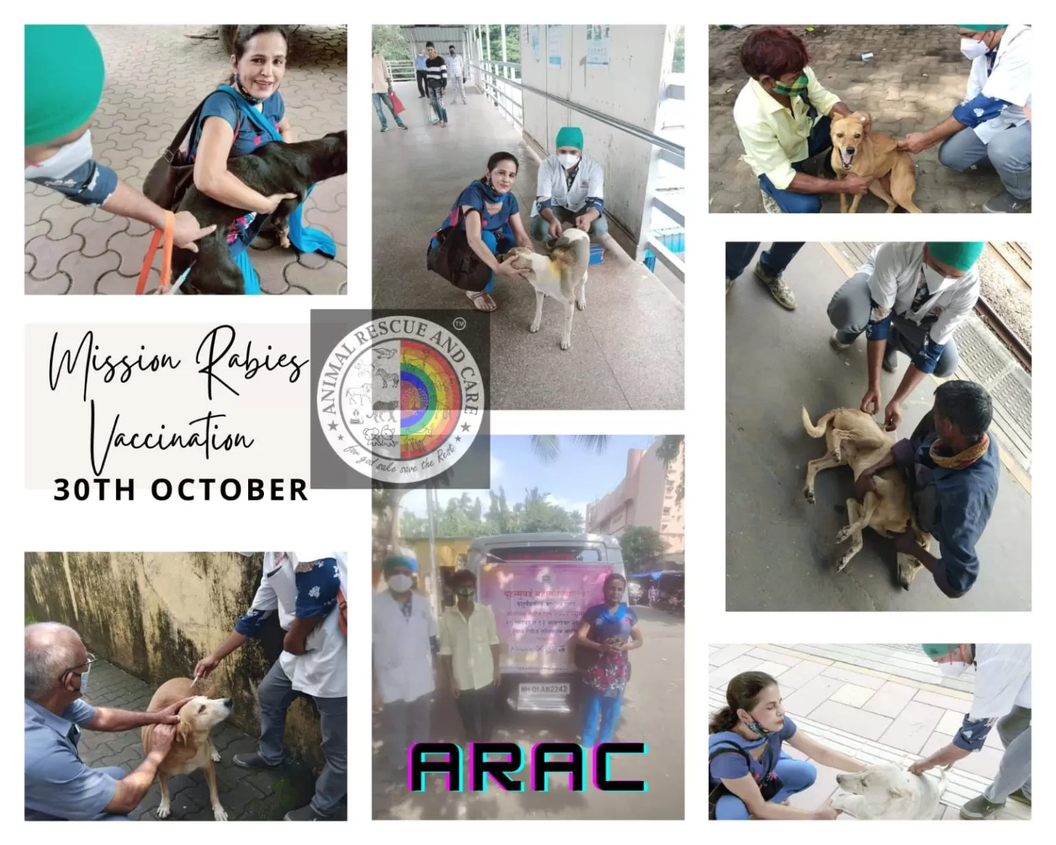 تحصين الكلاب ضد السعار في أسوان