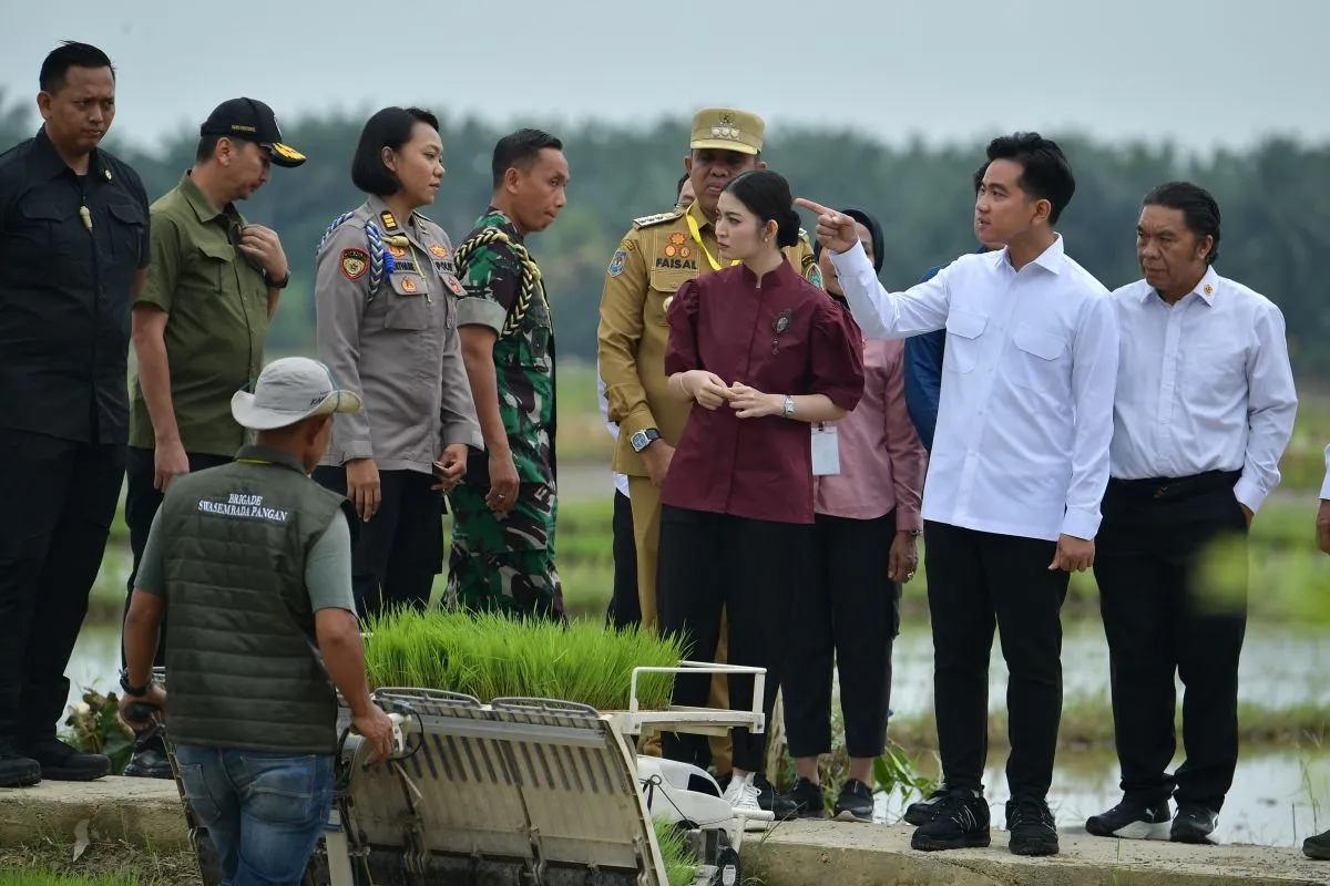 Tingkatkan Keamanan Pangan di Indonesia: Arahan Wakil Presiden