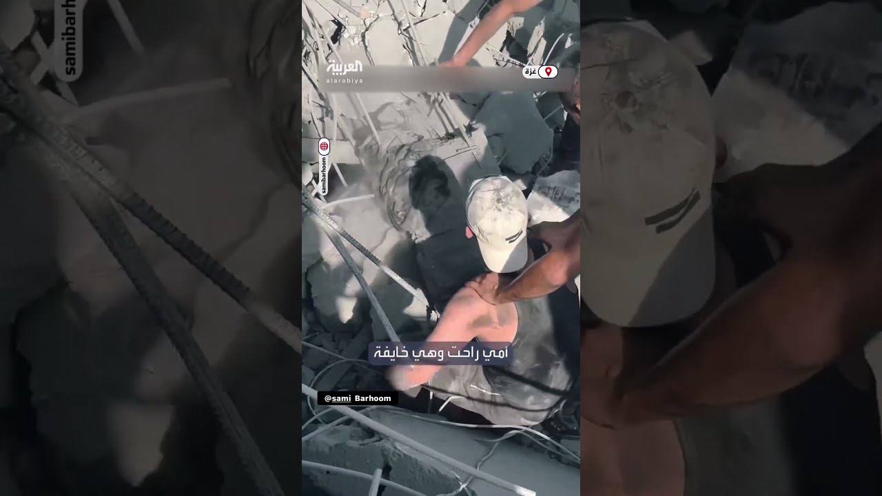 ملجأ القطط المصابة في غزة: قصة إنسانية ملهمة