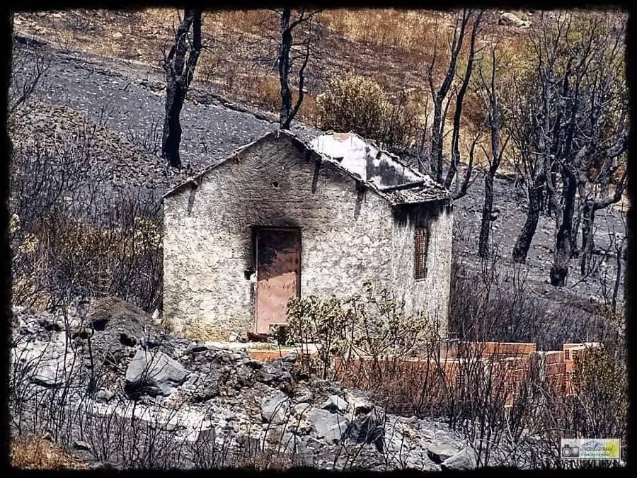Interdit total sur les forêts pour prévenir les incendies d'été