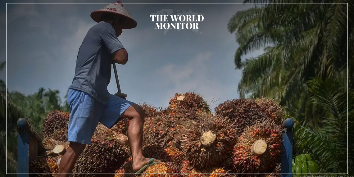 تراجع أسعار السلع الغذائية وأسبابها