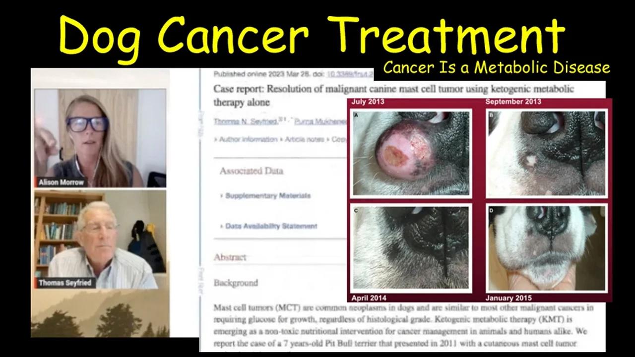 AI Use in Developing Cancer Treatment for Dog