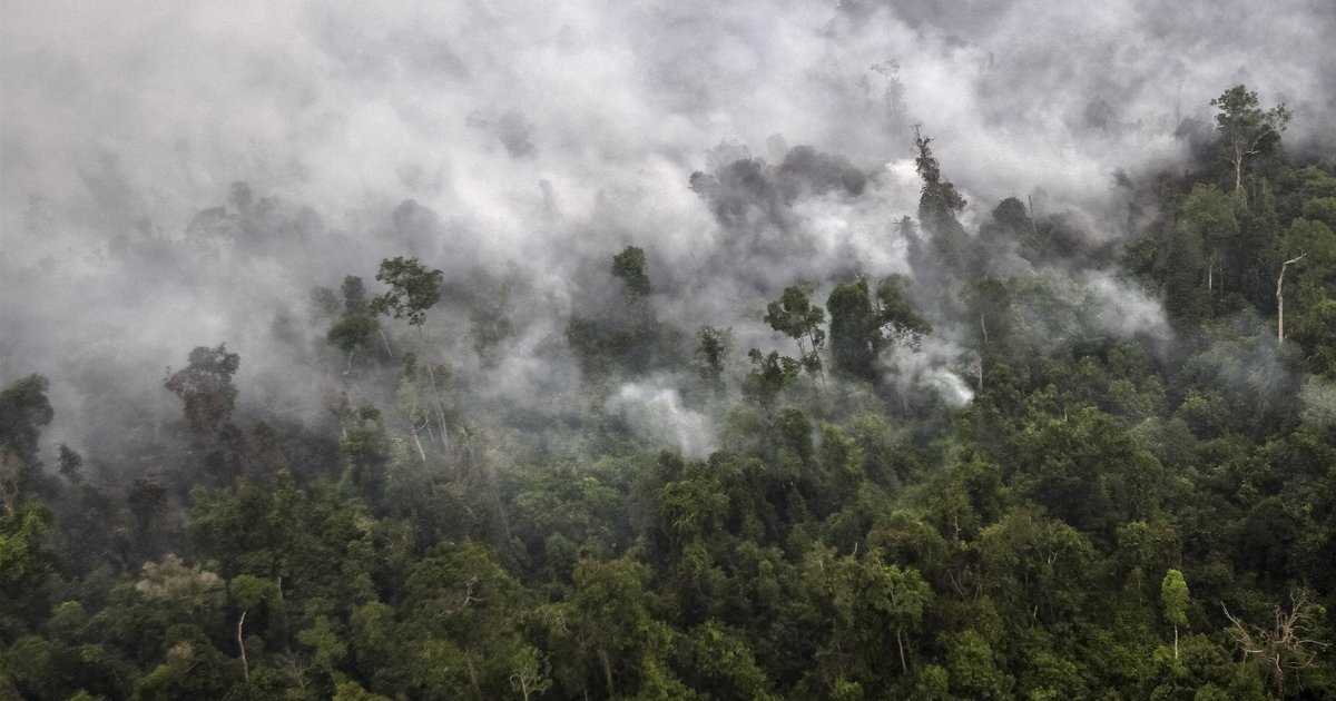 Indonésie : opérations de modification du temps contre les incendies