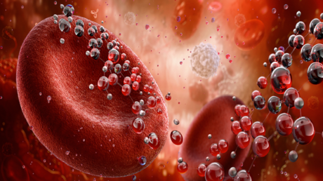 Hidden Blood Indicators Reveal Biological Aging Acceleration