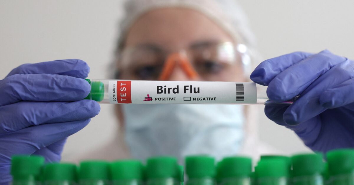 First Human Case of H9N2 Bird Flu in Europe