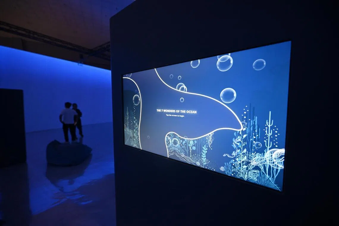 Ausstellung Der Eine Ozean: Entdecken Sie die Wunder des Meeres