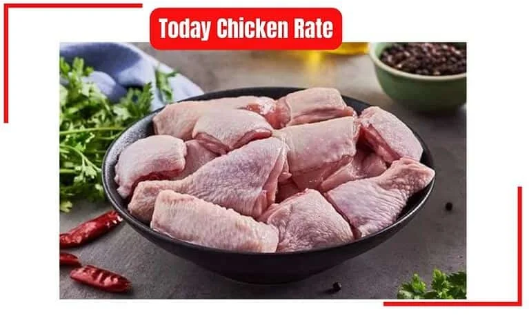 Stabilisation des prix du poulet et des œufs à Matrouh