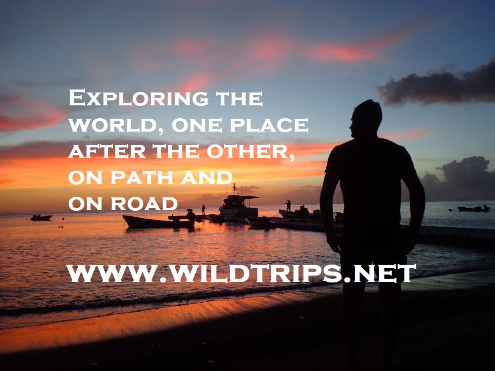 مكتب البيئة في الليث يفرض حظراً على صيد الناجل والطرادي