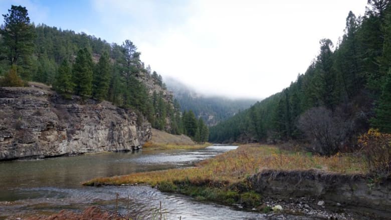Perasaan Warga Montana terhadap Serial "Yellowstone"