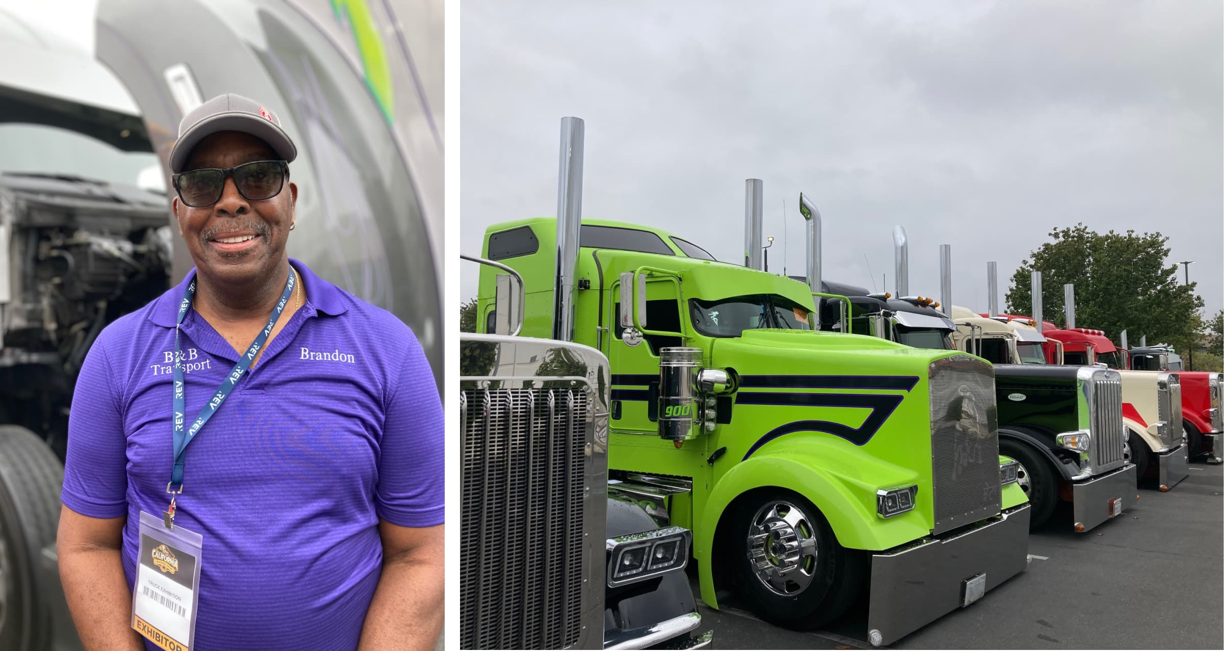 شركات الفرد الواحد: النجاح والفشل