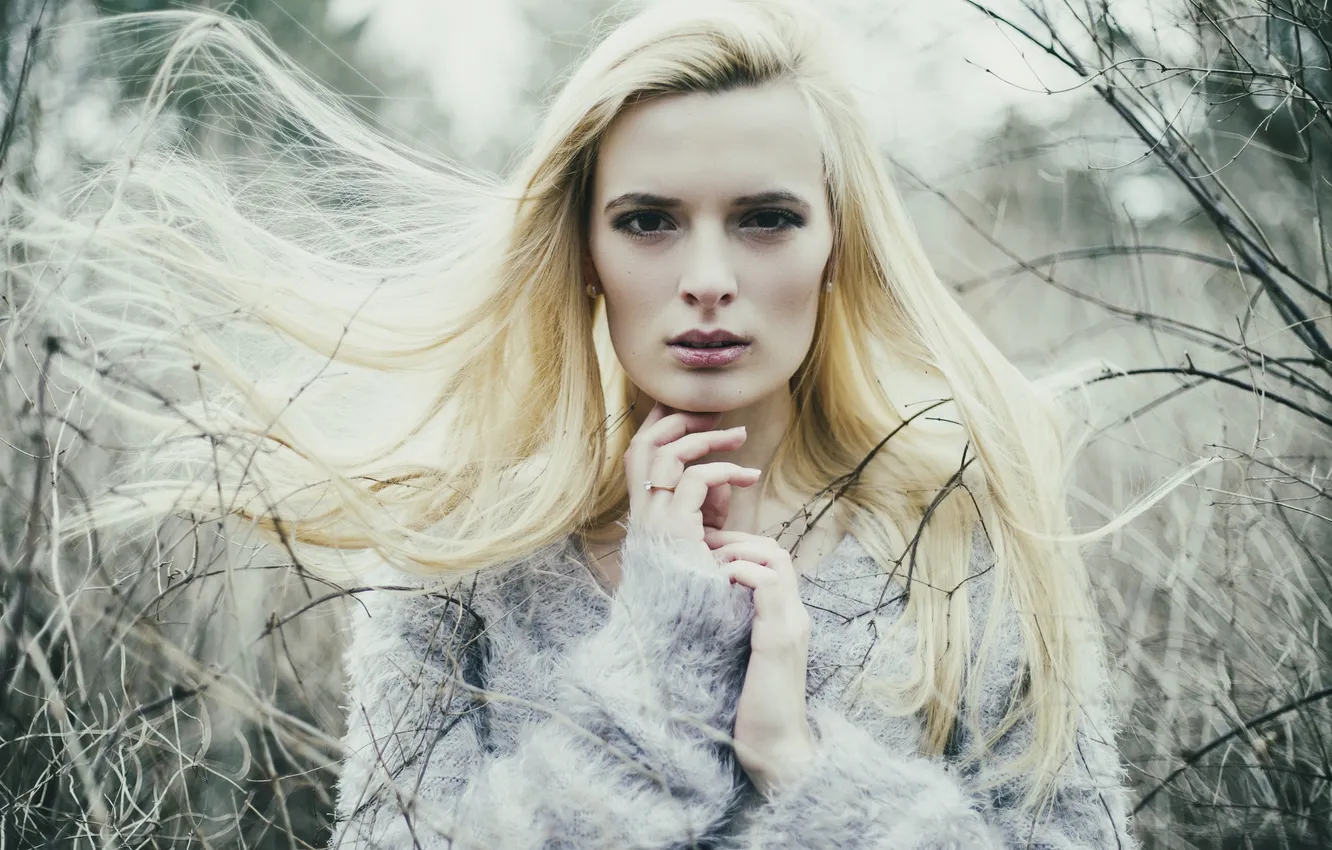 حادث سير مروع في لندن يؤدي إلى وفاة امرأة