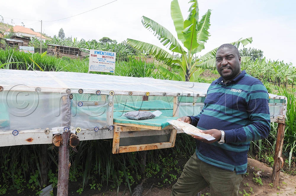 تحذيرات للمزارعين بسبب ارتفاع الرطوبة