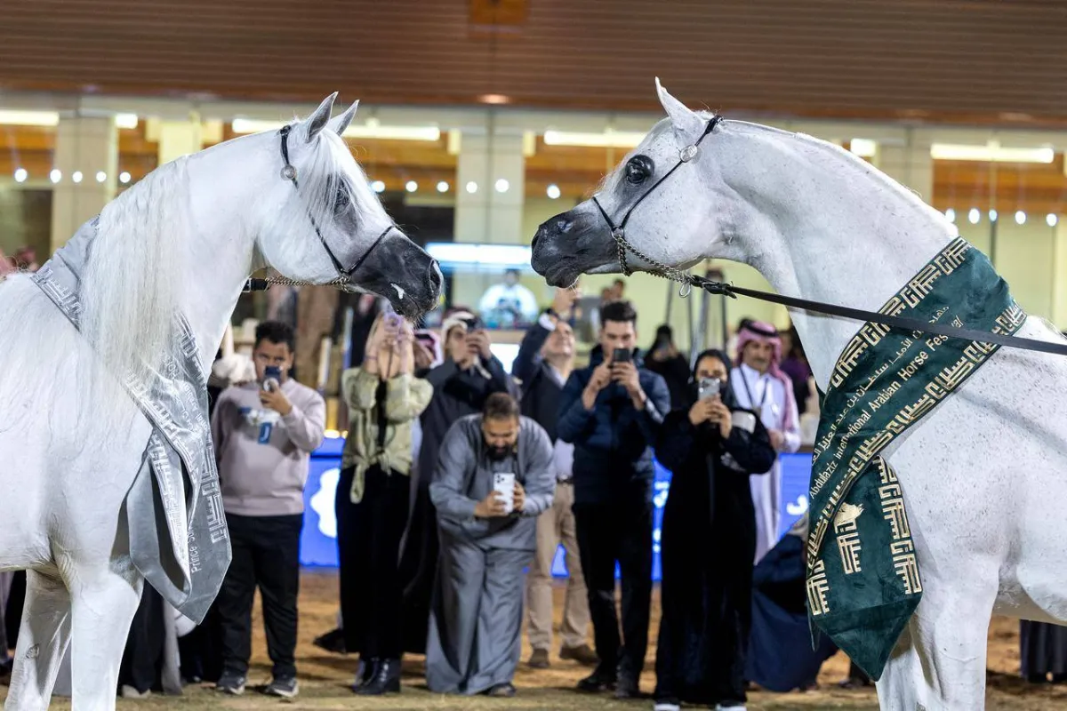 بطولة العالم لخيل الجزيرة 2026 في الرياض