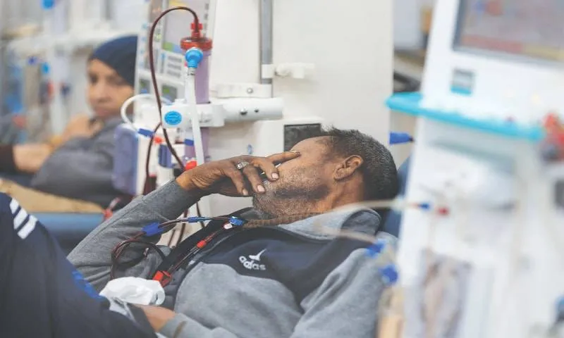 Essential Tips for Kidney Health Maintenance