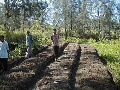 إندونيسيا تدعم الزراعة المستدامة والتكنولوجيا الحديثة