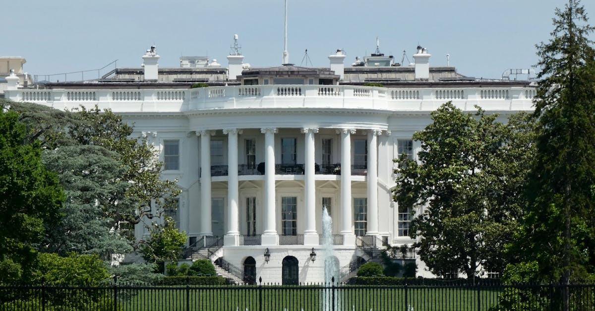 انخفاض أسعار القمح والذرة بعد وقف إطلاق النار