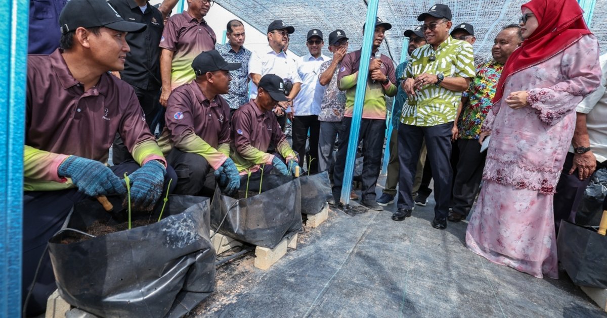 Tinatanggihan ng Partido ng Katarungan ang mga Tsismis