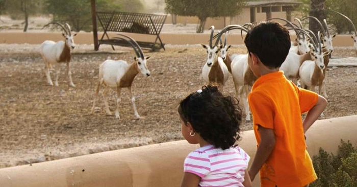 Bahrain Names Al Areen Reserve After Mohammed bin Zayed