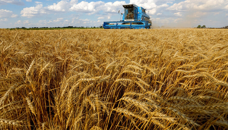 Preisanpassung für Weizenlieferungen zur Förderung der Produktion