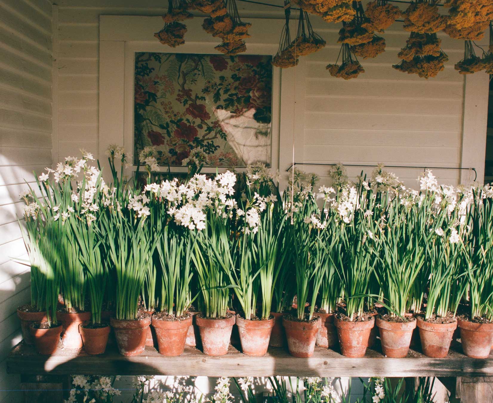 حمام Flamingo Estate: تجربة استرخاء فريدة في ميلان