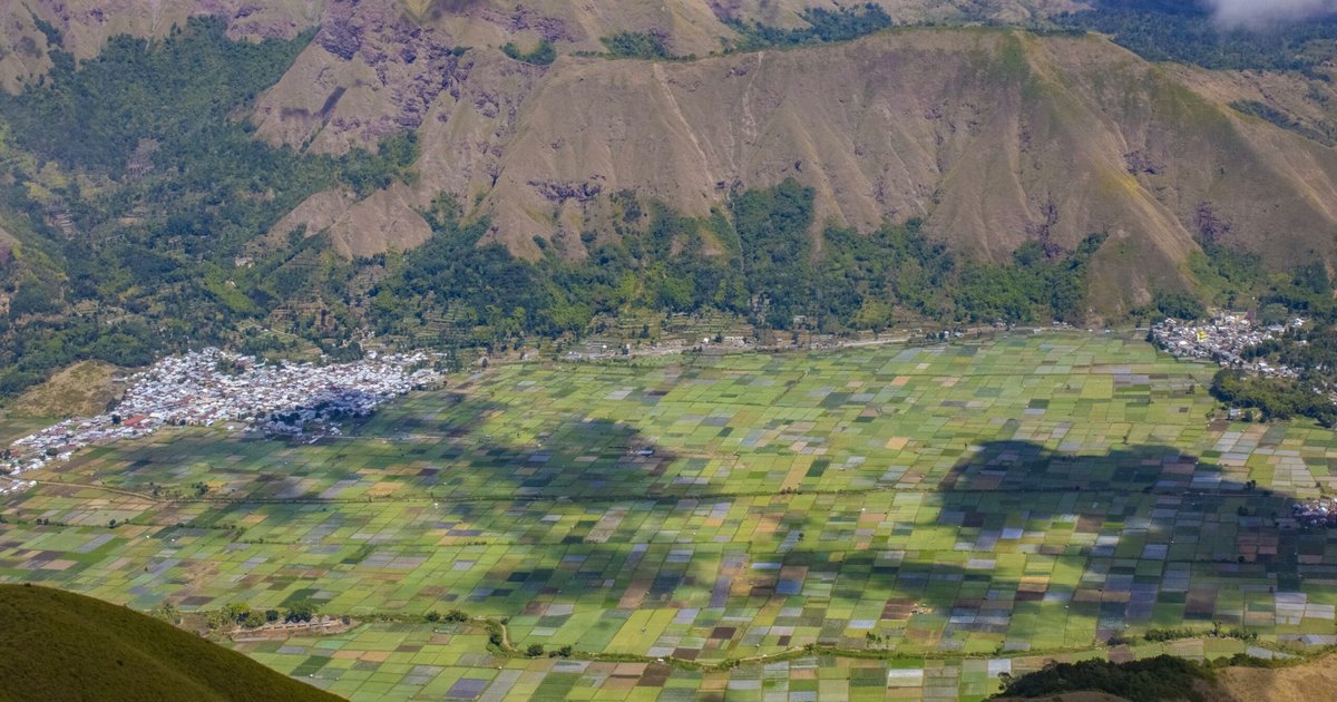 Multidisciplinary Response to Cyber Threats