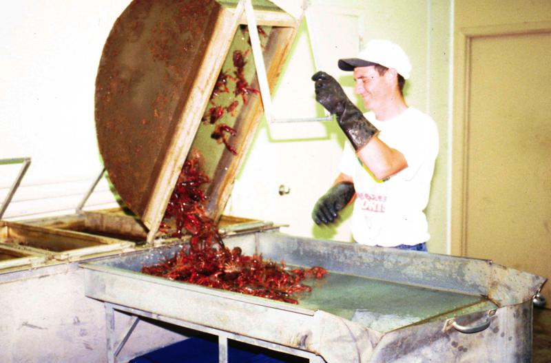 Foreign Labor Shortage Affects Louisiana Crawfish Industry