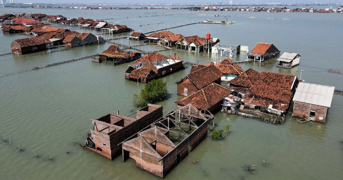 إندونيسيا تحدد إمكانيات تصدير المنتجات البحرية