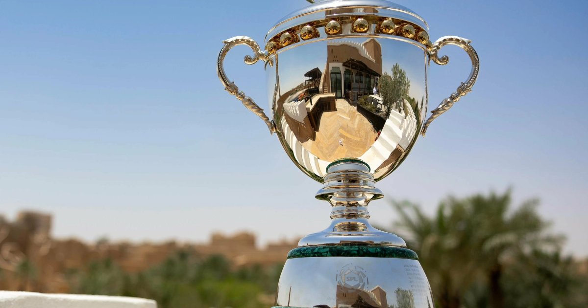 أندية دوري روشن السعودي تحصل على الرخصة المحلية والآسيوية