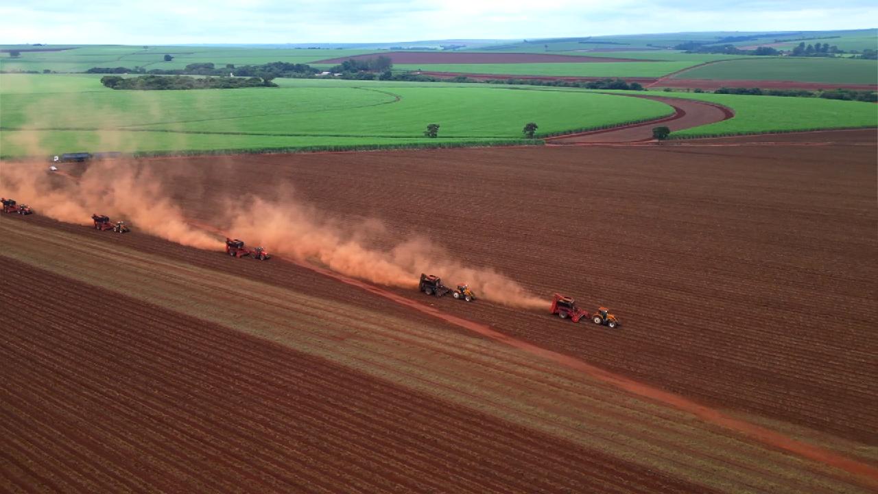 Brazilian Peanut Exports to China Surge by 30%