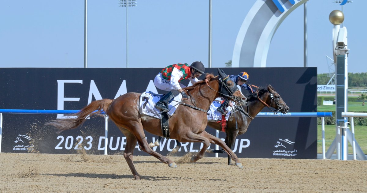 كأس دبي العالمي 2023: حدث رياضي مميز بحضور محمد بن راشد