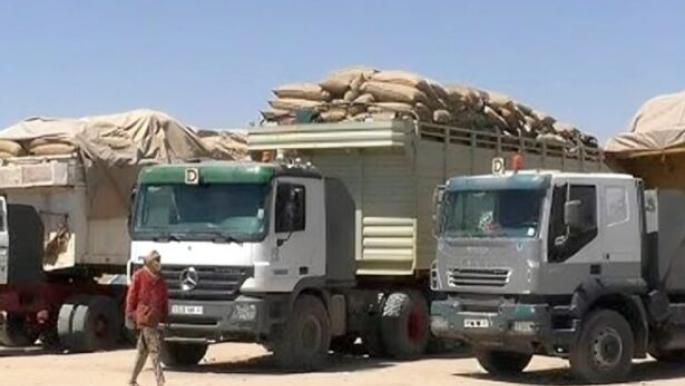 Develop Trade Corridors Between Algeria and Niger