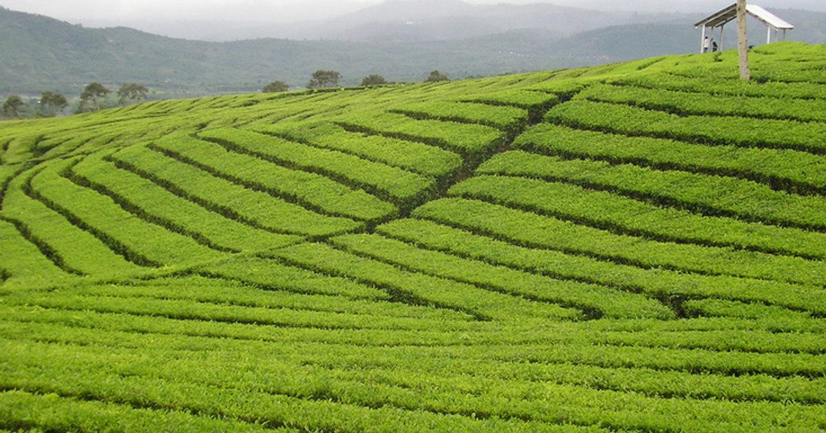 Sécurité renforcée au mont Dimbo pour les grimpeurs
