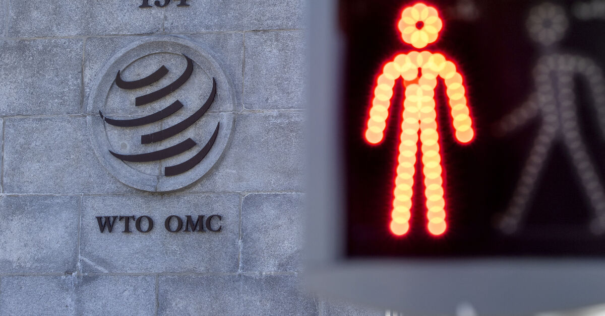 Reform der Welthandelsorganisation in Kamerun