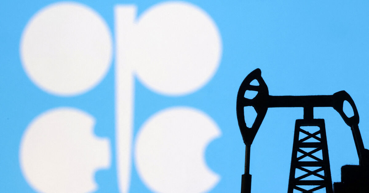 الإمارات تعيد تقييم علاقاتها بعد انسحابها من أوبك