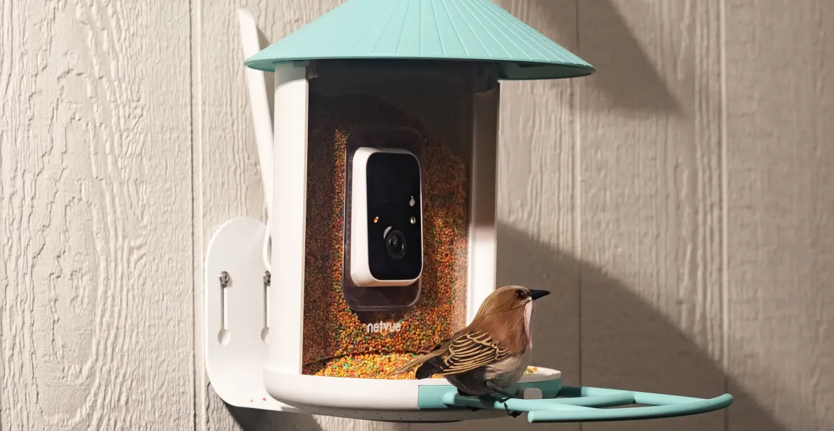 Amazon Spring Discounts on Smart Bird Feeders