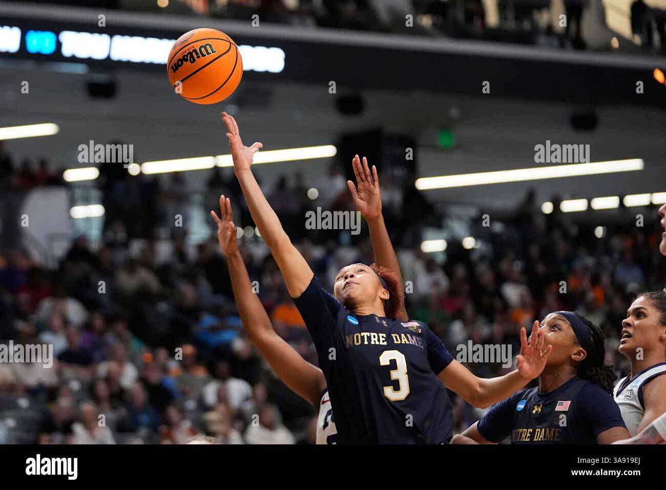 Hidalgo brille au tournoi NCAA de basketball