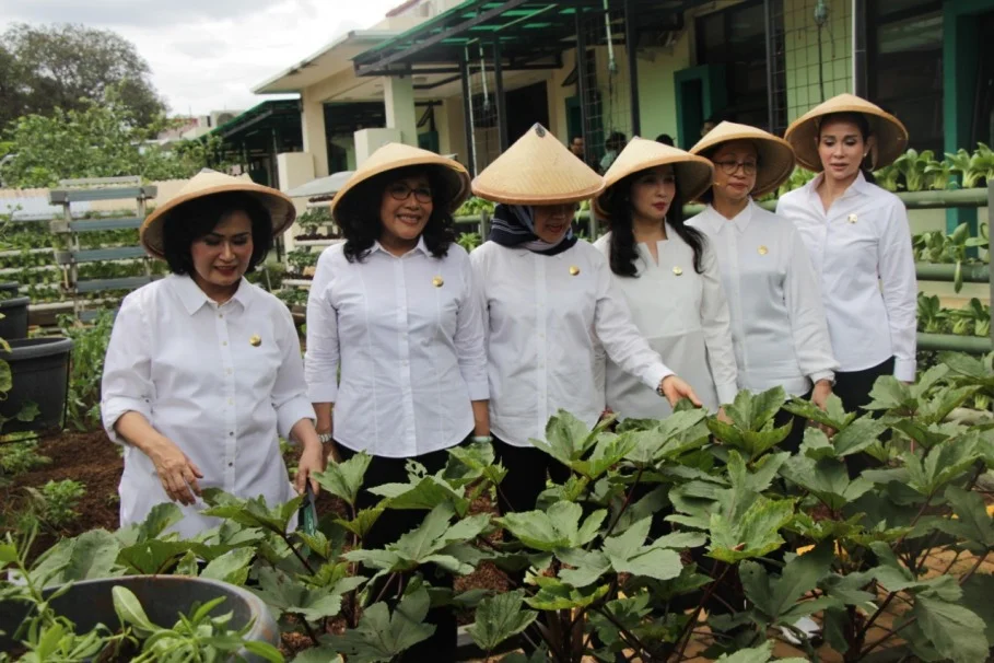 استخدام البيوبوري للحد من الفيضانات في إندونيسيا