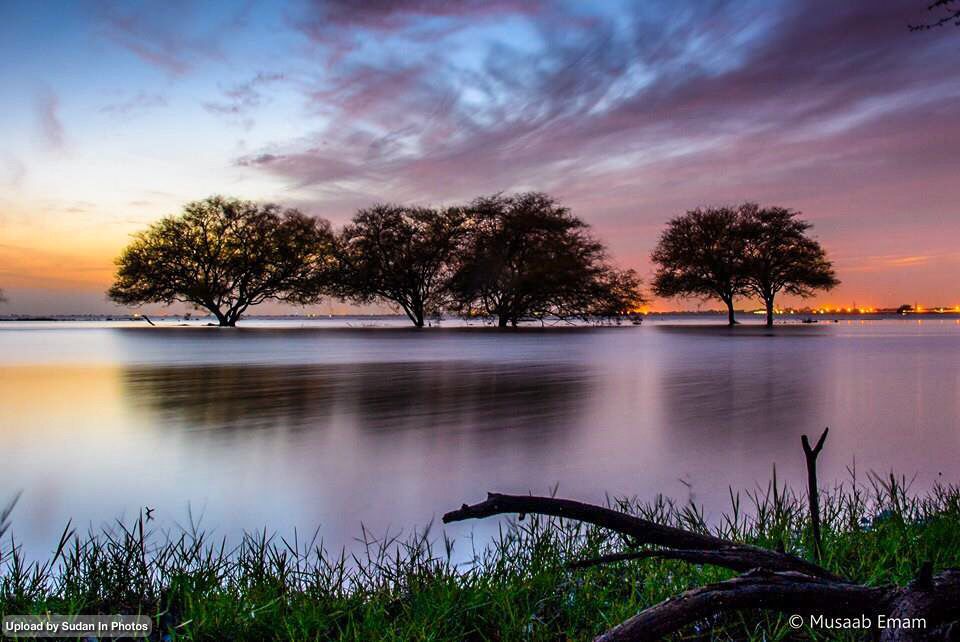 Abholzung im Akazienwald bedroht Khartum