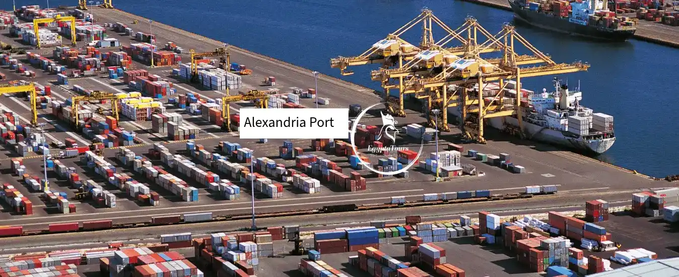 Exempt Maritime Transport from Remote Work in Egypt