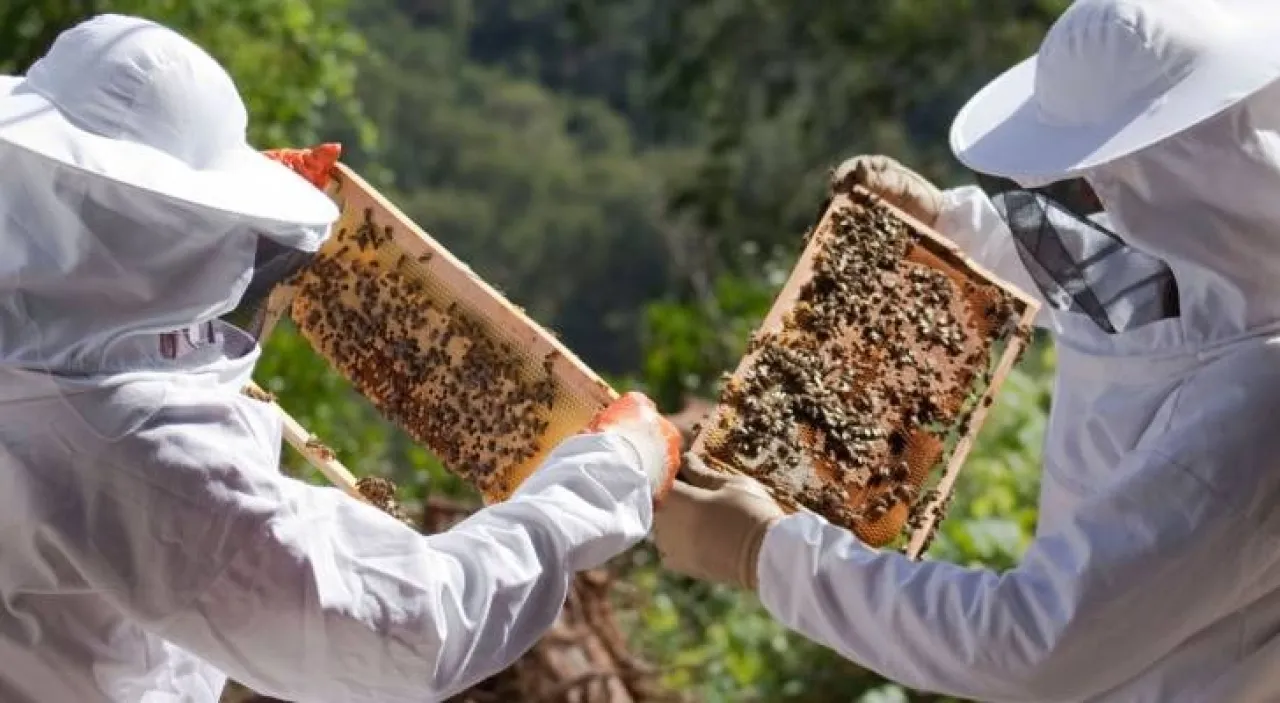 Augmenter les prêts pour soutenir l'acquisition de Janus Henderson