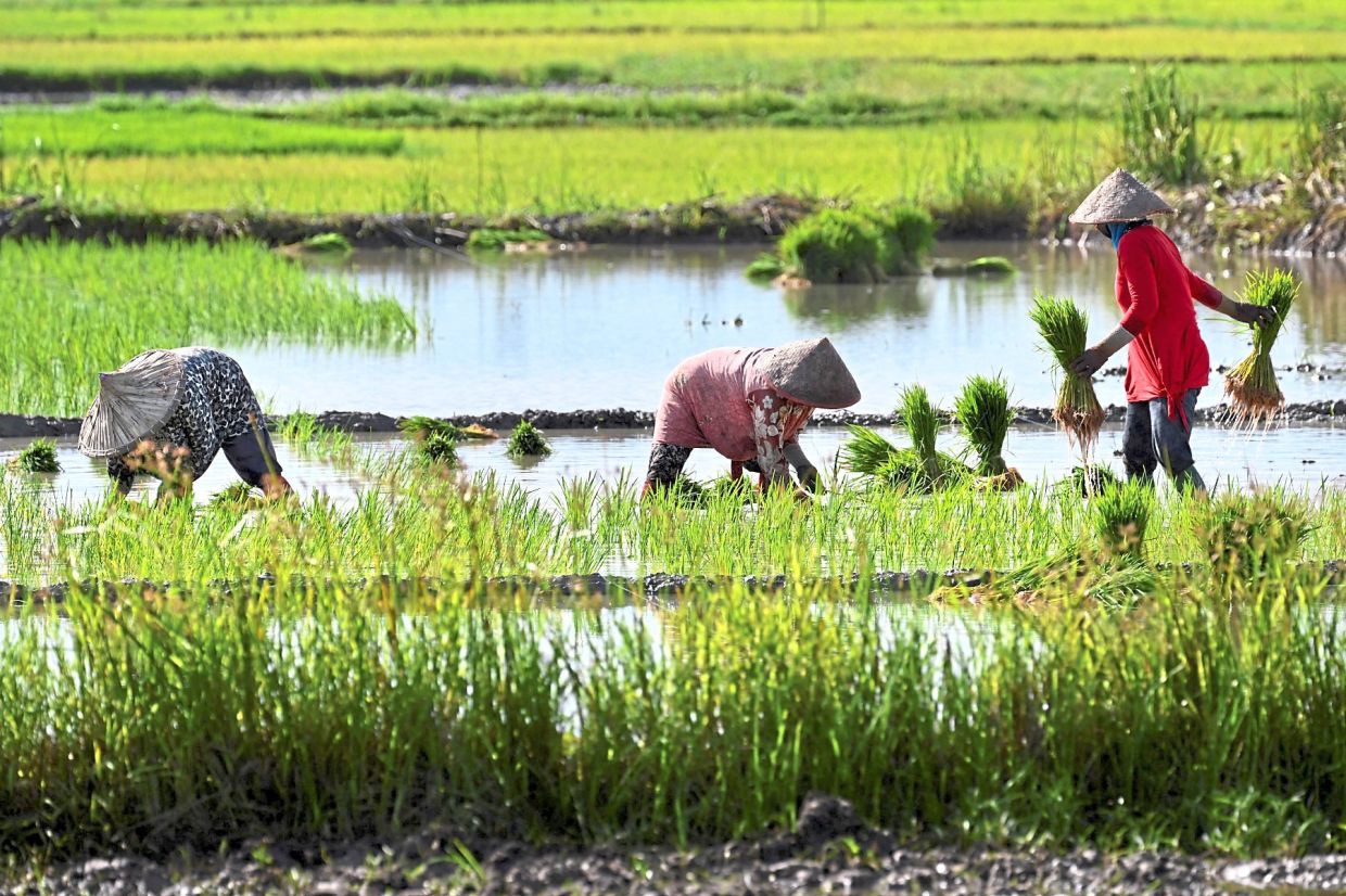 Food Security: The Importance of Income and Logistics