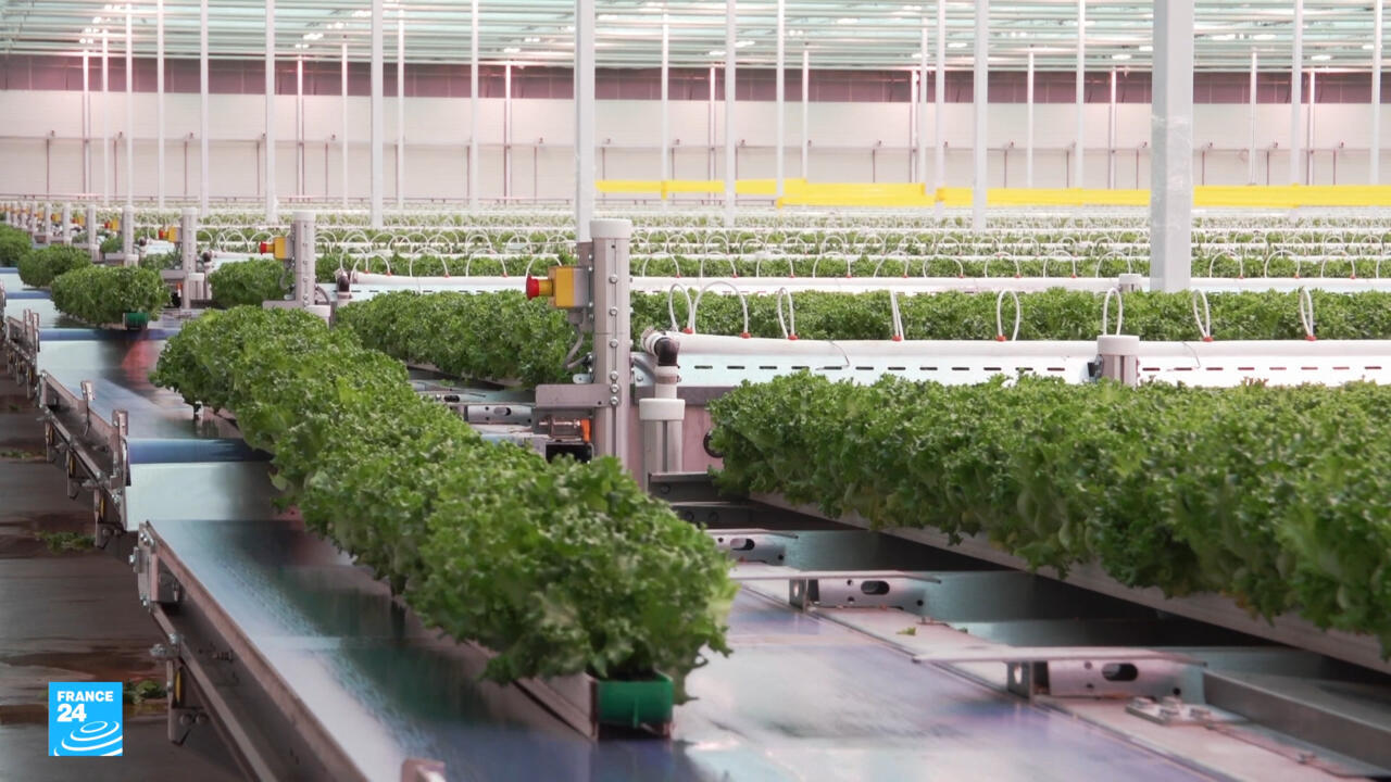 كندا والزراعة الذكية لمواجهة التحديات التجارية